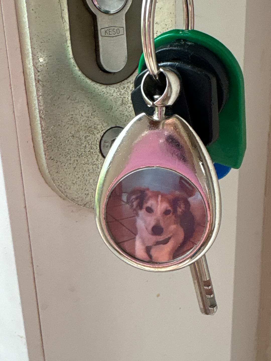Customer photo review of Schlüsselanhänger mit Hundefoto
