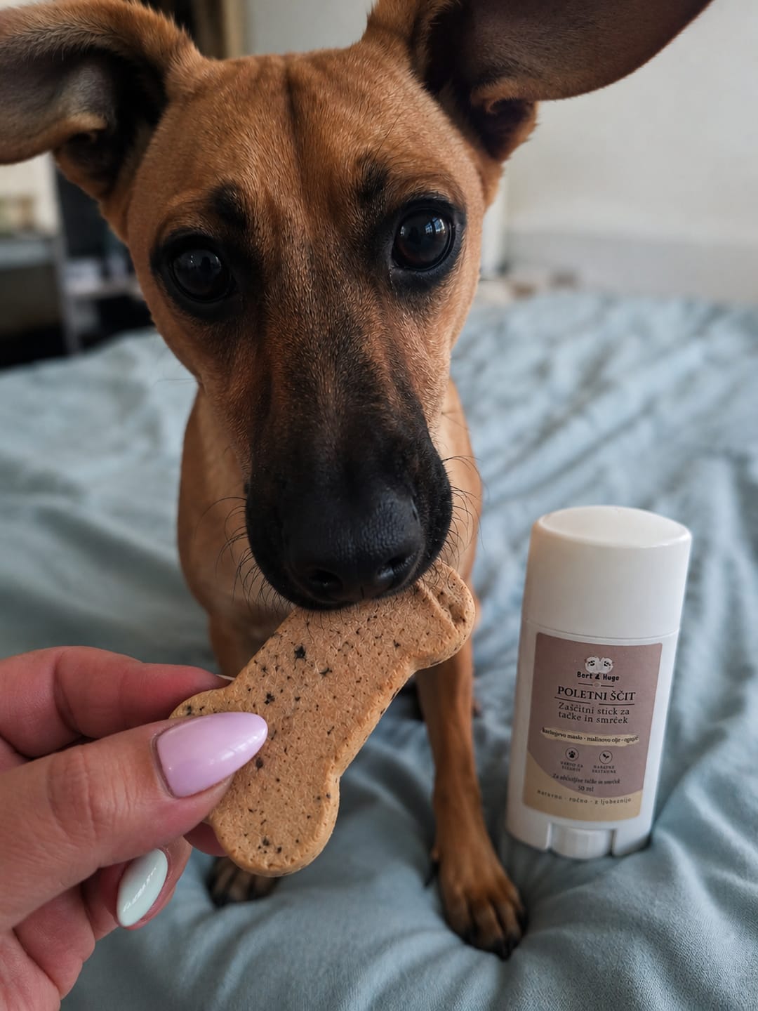Customer photo review of Bert & Hugo Poletni Ščit – Zaščitni stik za tačke in smrček (50ml)