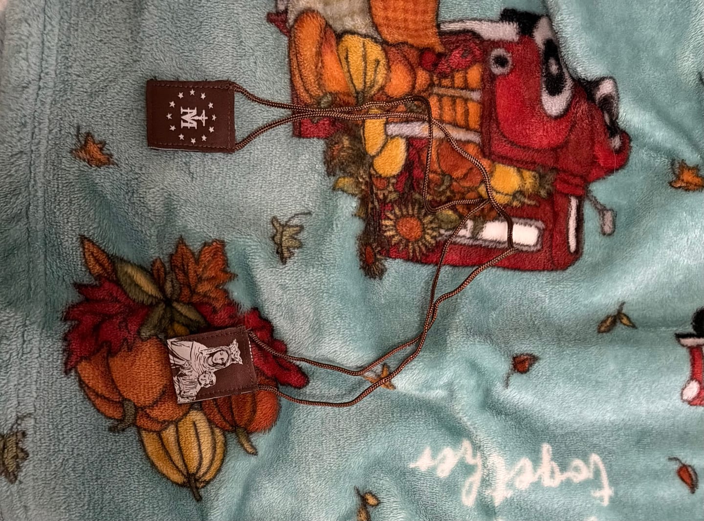 Customer photo review of OLMC Crown of Stars | Our Lady of Mt. Carmel Premium Brown Scapular