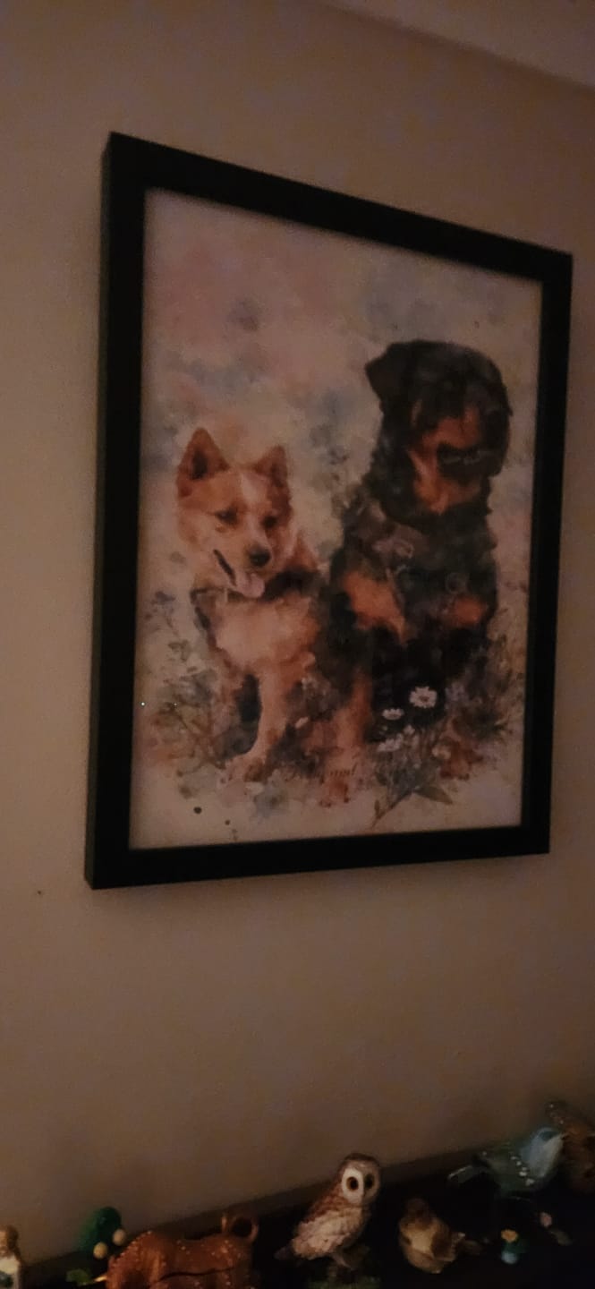 Customer photo review of Personalised Poster With Dog or Cat - Watercolour