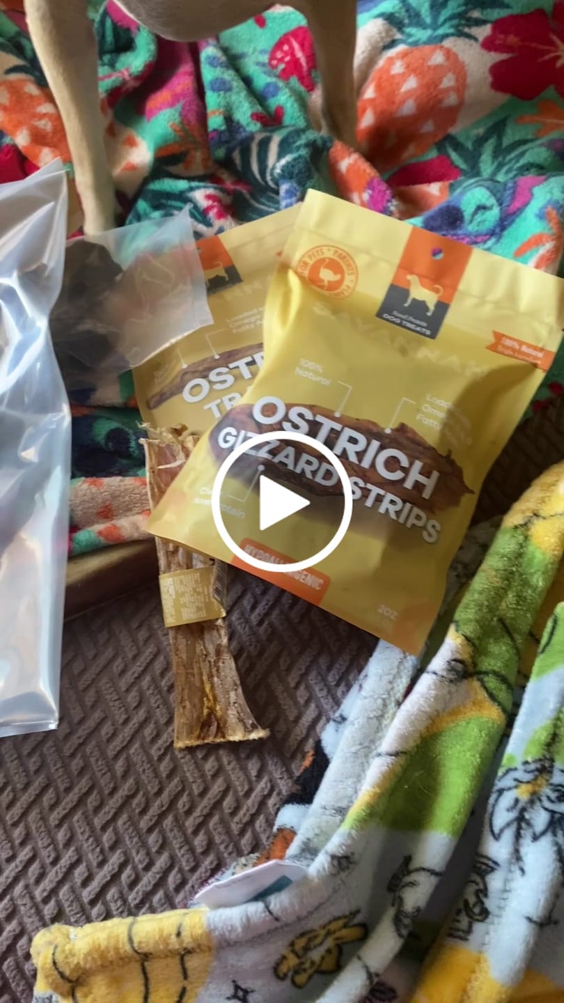 Customer video review of Ostrich Rib Chew (8" x 3.5"): The Long-Lasting, Flavorful Chew for Small and Medium Dogs - 2 Pieces