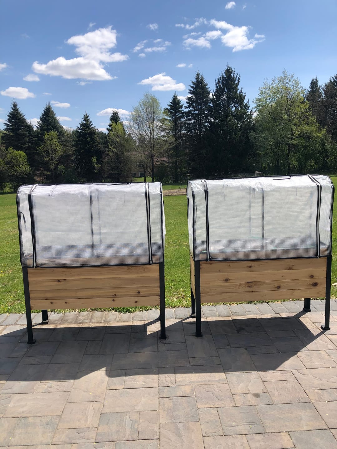Customer photo review of Greenhouse Cover