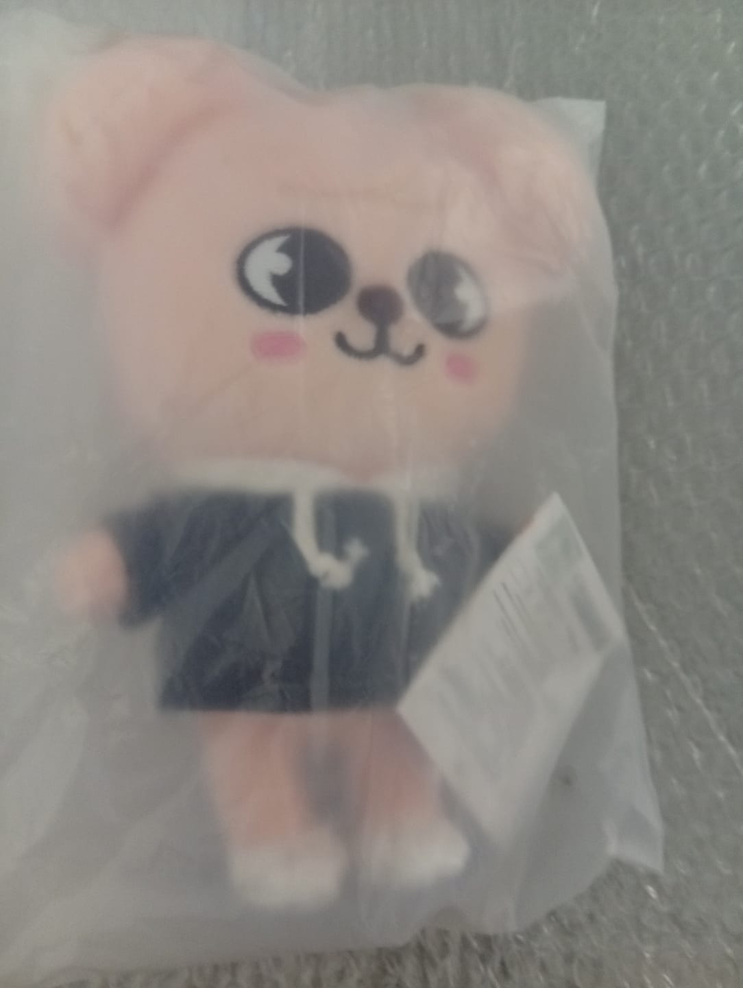 Customer photo review of BYIT DEAL - Mystery Lucky Box (Stray Kids)