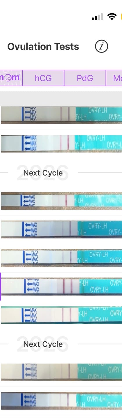 Customer photo review of Ovulation Test Strips