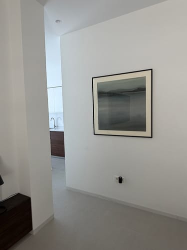 Customer photo review of Abstract Horizon V