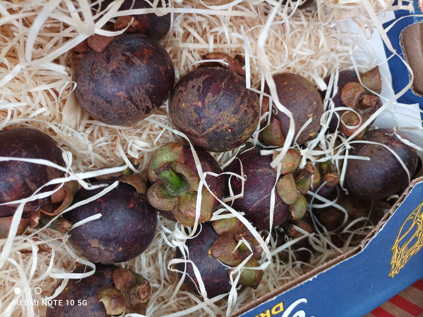 Customer photo review of Mangostan unbehandelt Thailand 1,5kg Box Kennenlernpreis %