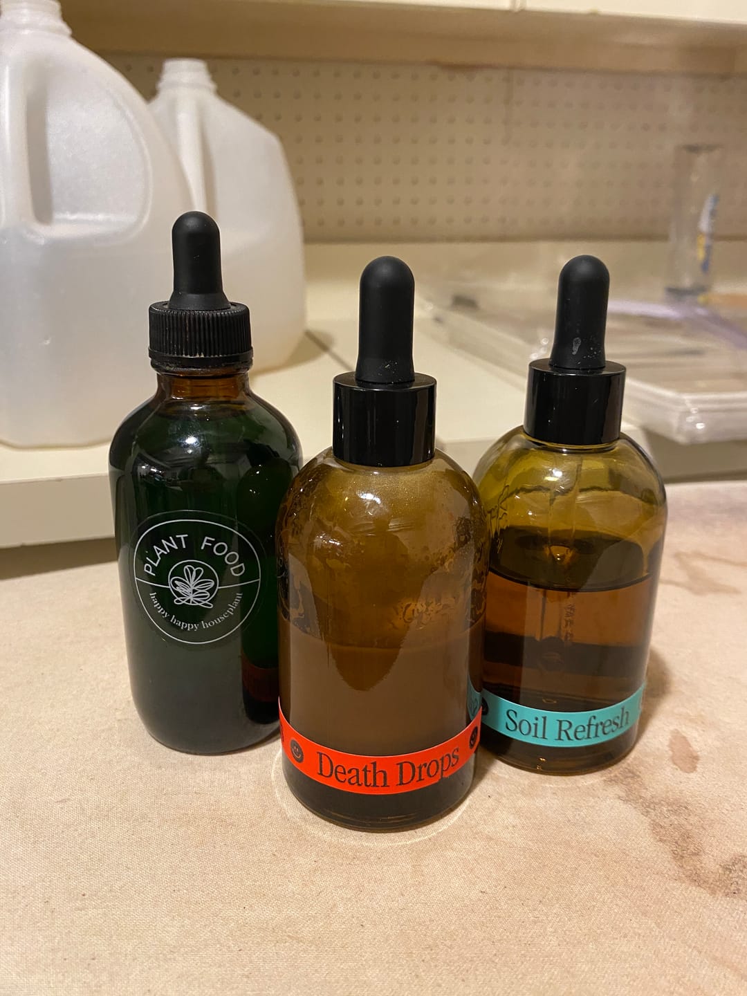 Customer photo review of Fungus Gnat Death Drops
