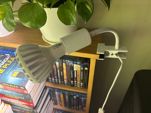 Customer photo review of Stelo Gooseneck Clip-On Bulb Holder E27 Fit (V1 - Original Model)