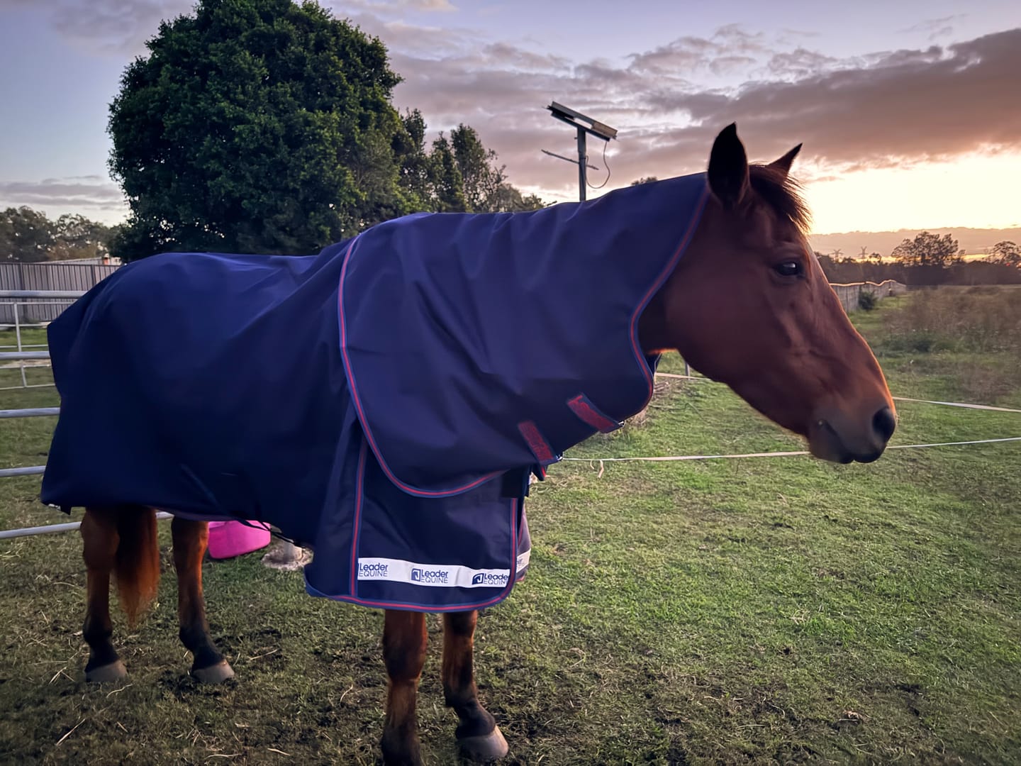 Customer photo review of LE Boxter Turnout Ripstop 0g with Fleece