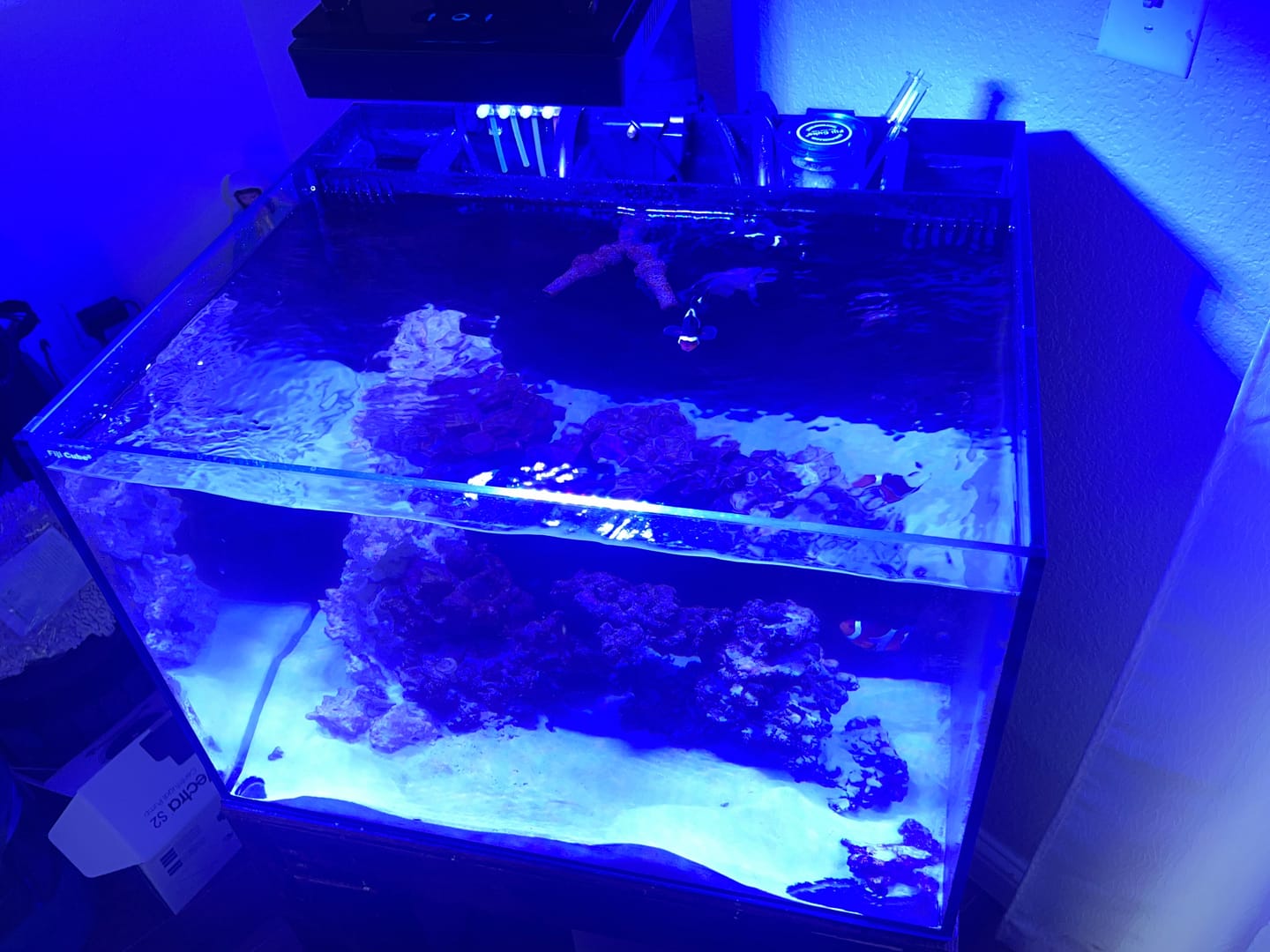 Customer photo review of Fiji Cube 2nd Gen Nano DC Protein Skimmer NSK-50 with DC Flow Controllable Pump