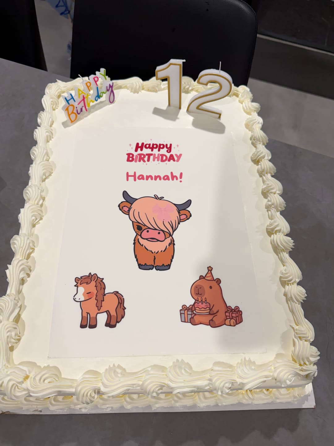 Customer photo review of A4 Rectangle Custom Edible Icing Image