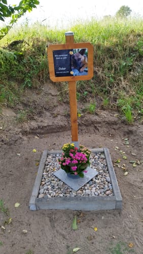 Customer photo review of Hunde Gedenktafel mit Foto & Spruch (UV- & Wetterfest)
