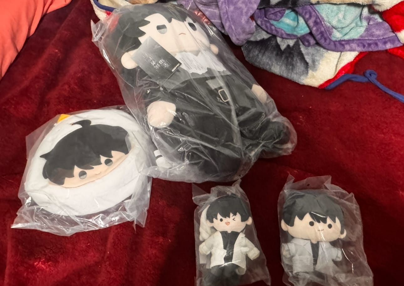 Customer photo review of 【Pre-Order】Omniscient Reader's Viewpoint - Plush Bag