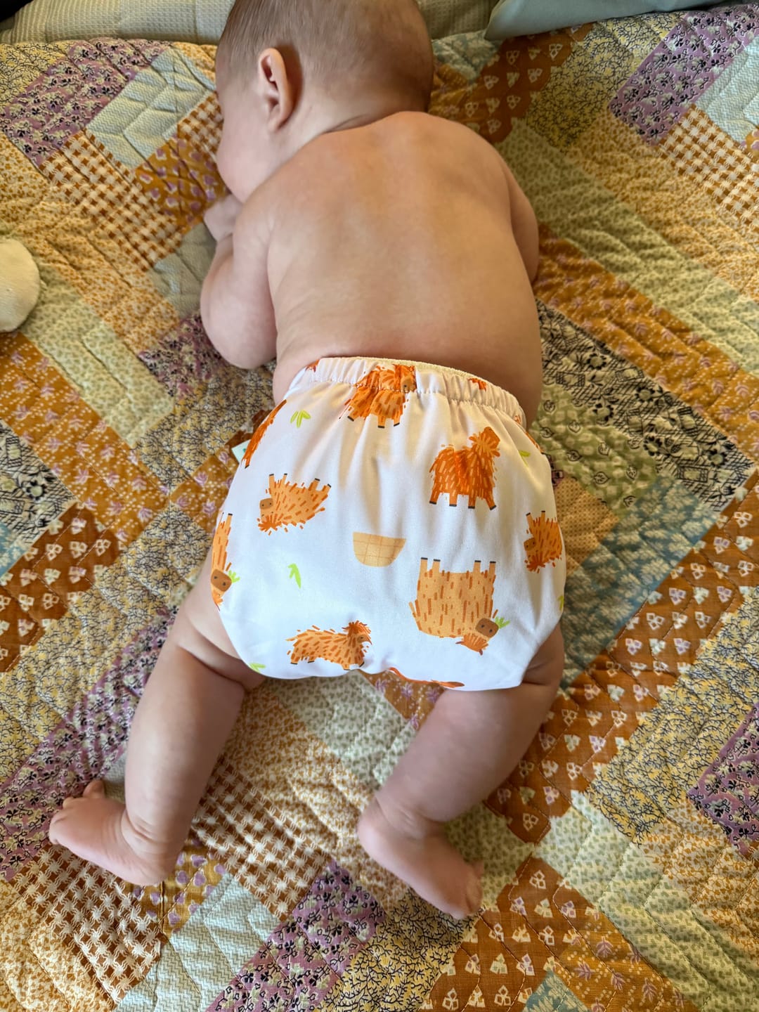 Customer photo review of Solid Color: Essentials Pocket Cloth Diaper with Athletic Wicking Jersey, Grows with your Baby