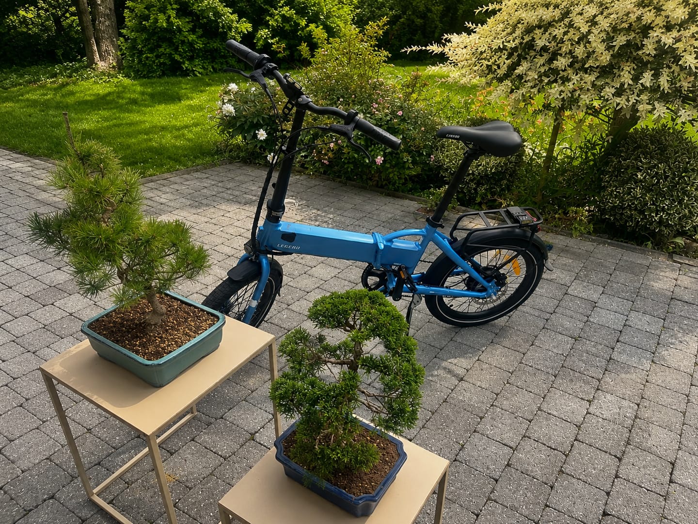 Customer photo review of Monza