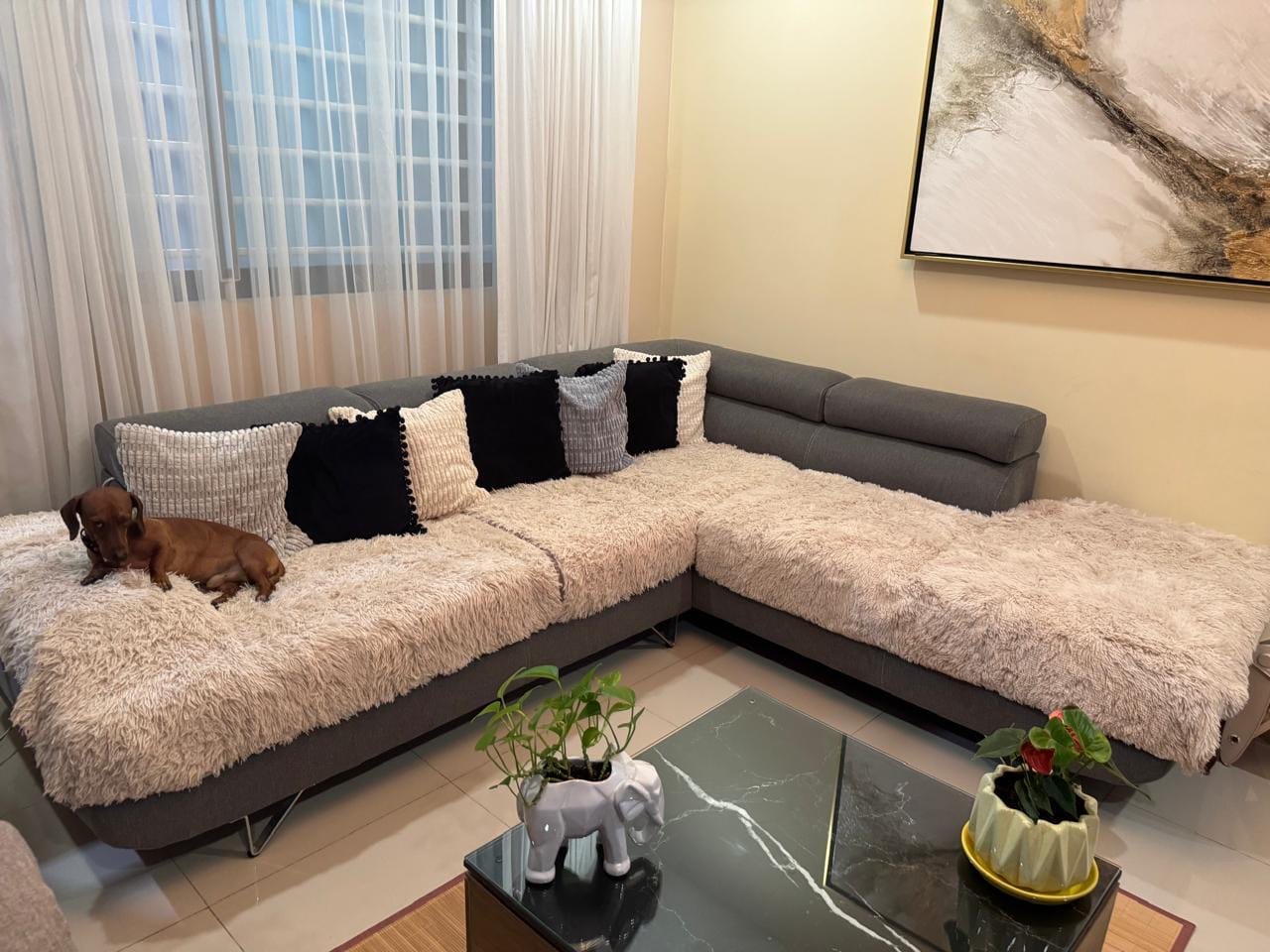 Customer photo review of Cobija Impermeable para Perros