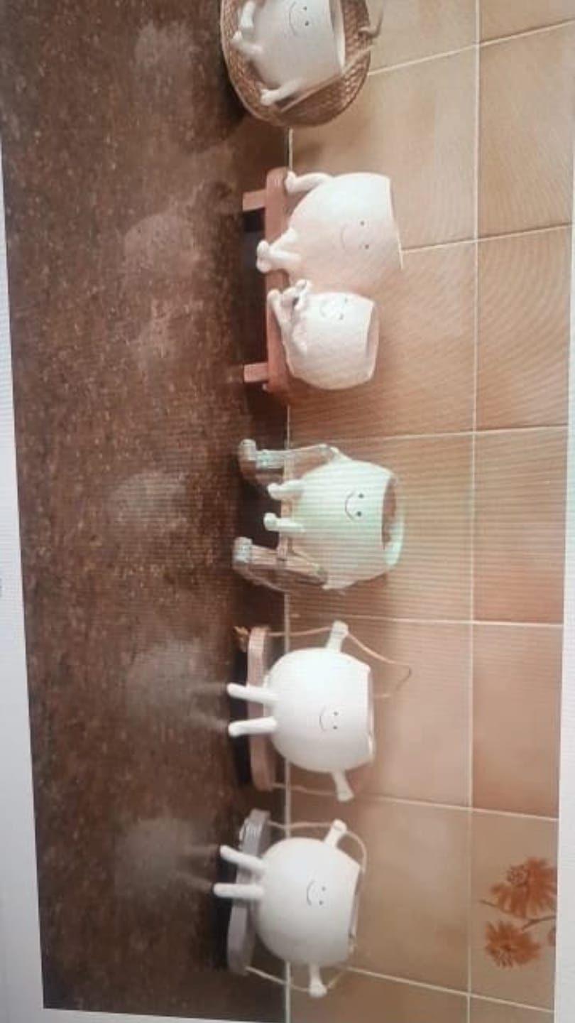 Customer photo review of Pokipot™ Maceta Feliz