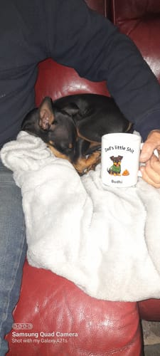 Customer photo review of Personalised Mug - Dad's little Shit