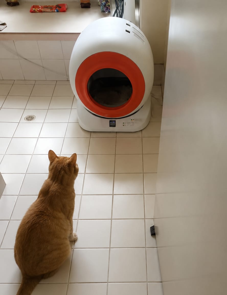 Customer photo review of The Petbuds Q-CLEAN Automatic Self-Cleaning Litter Box