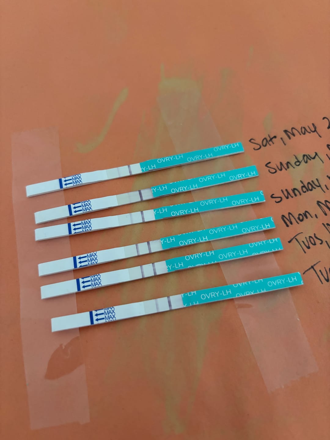 Customer photo review of Ovulation Test Strips