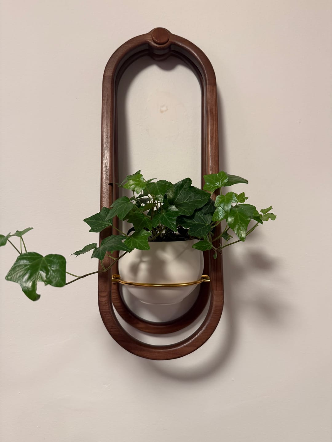 Customer photo review of Frame Wall Planter + Pot