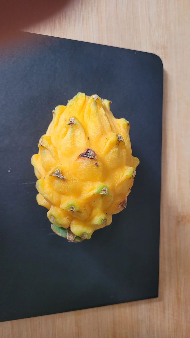 Customer photo review of Goldene Drachenfrucht (Pitaya) Sonderaktion %