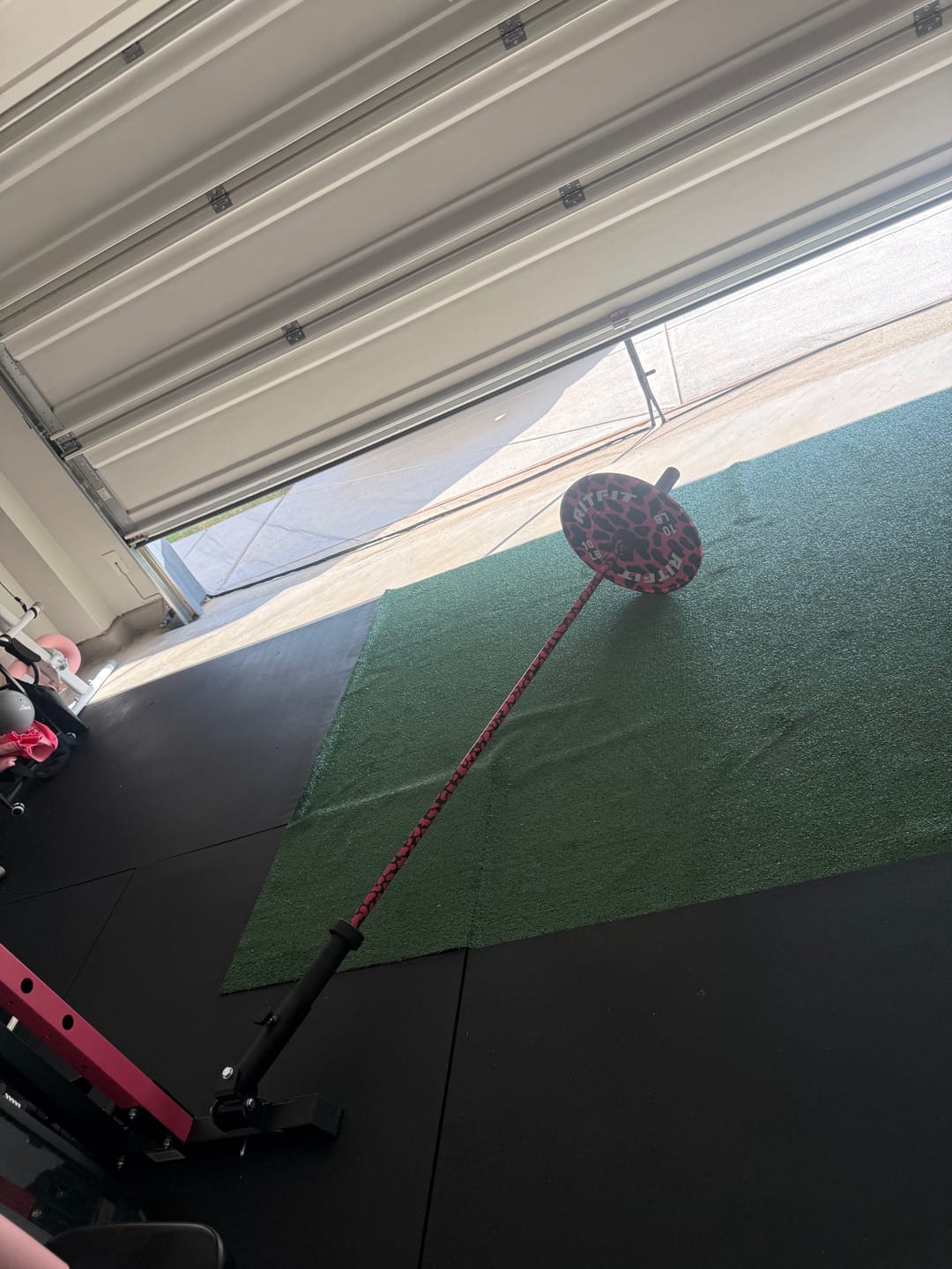 Customer photo review of RitFit Pink Leopard Print Olympic Bumper Weight Plates  - 2-inch