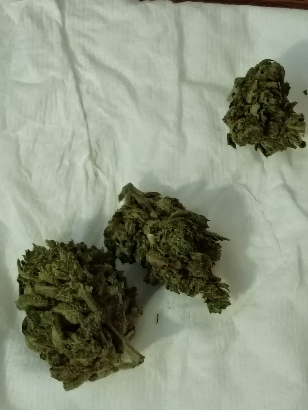 Customer photo review of Green Crack - 14 Grams - Sativa