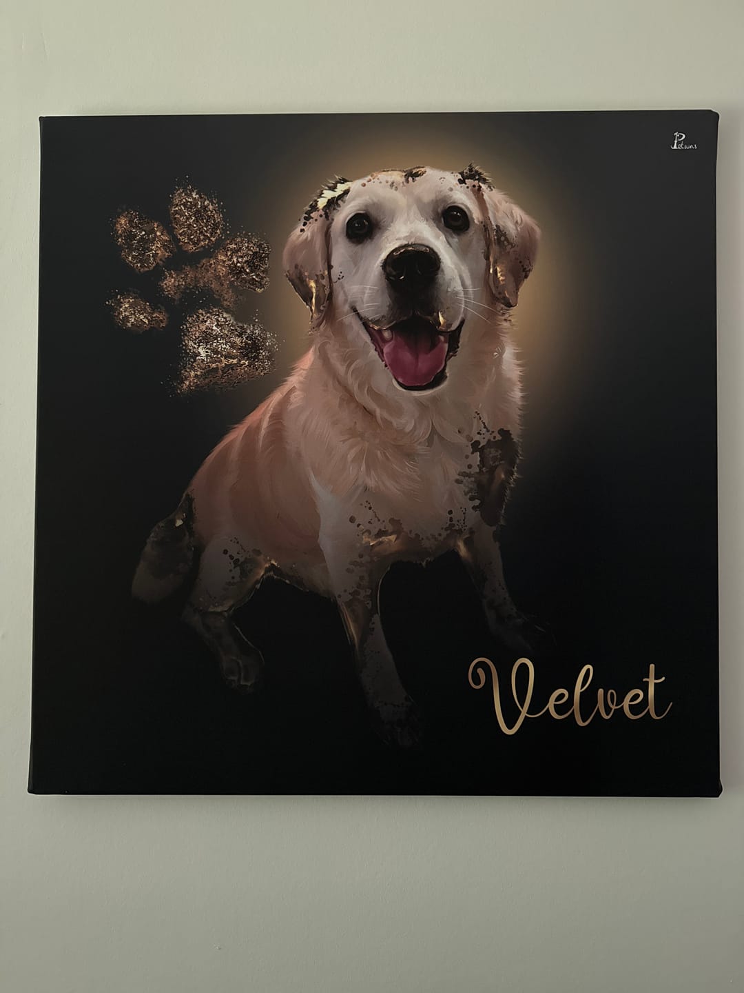 Customer photo review of Handgemaltes Haustierportrait auf Premium Leinwand im Gold Stil
