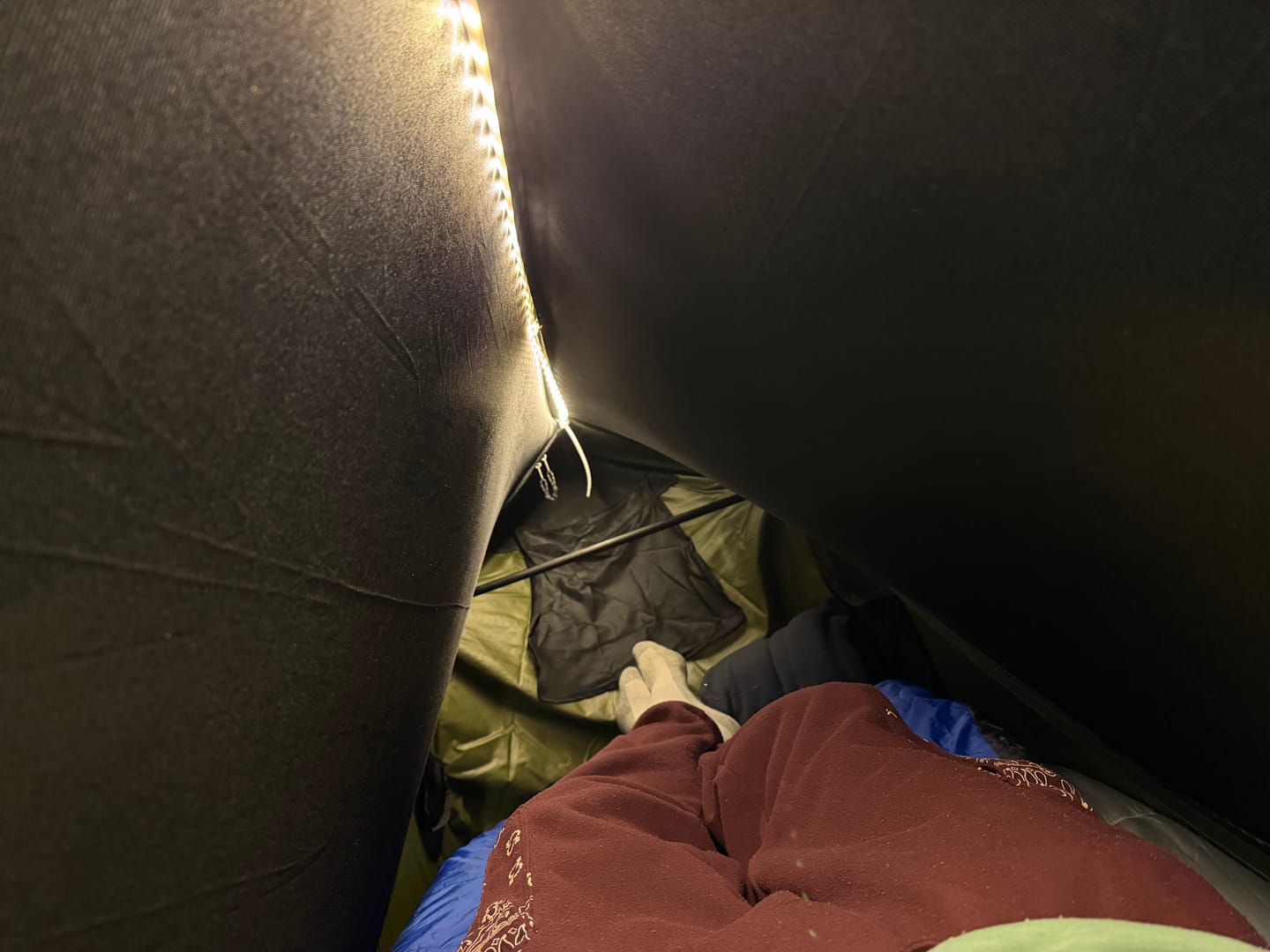 Customer photo review of Haven Safari