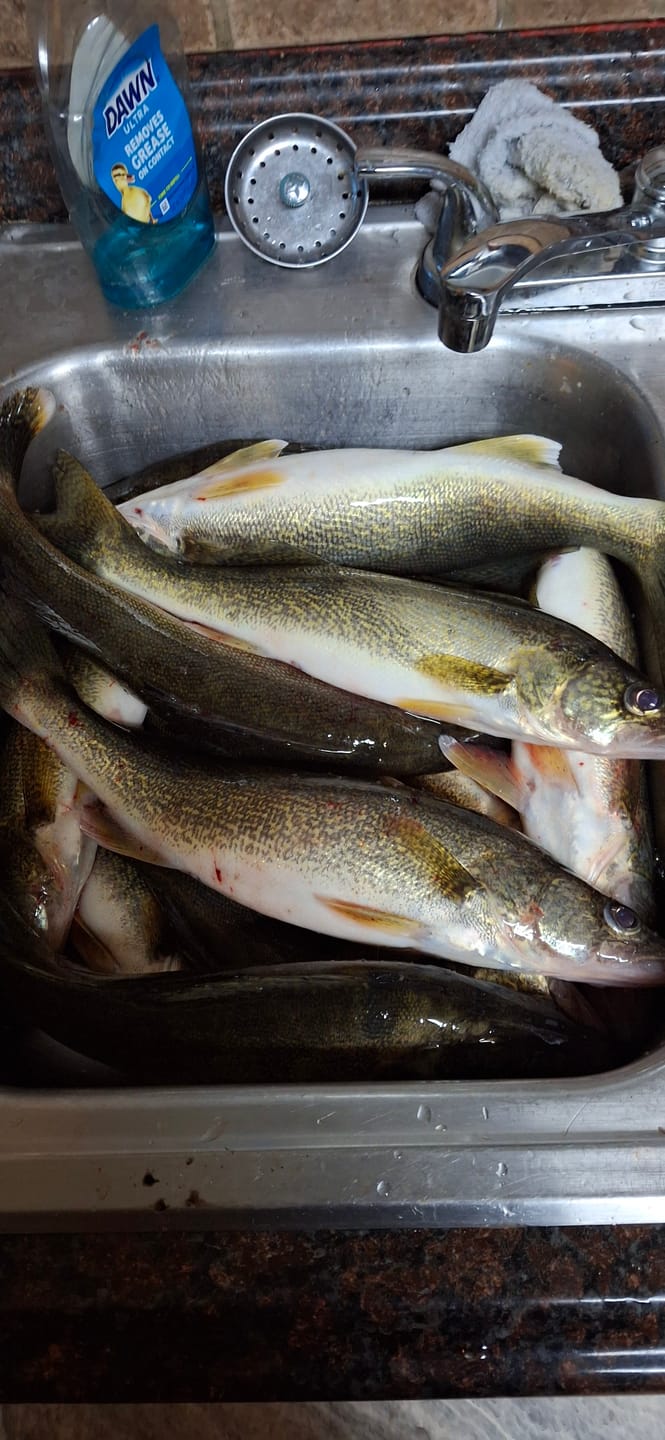 Customer photo review of Spinning Pre-Built Rod