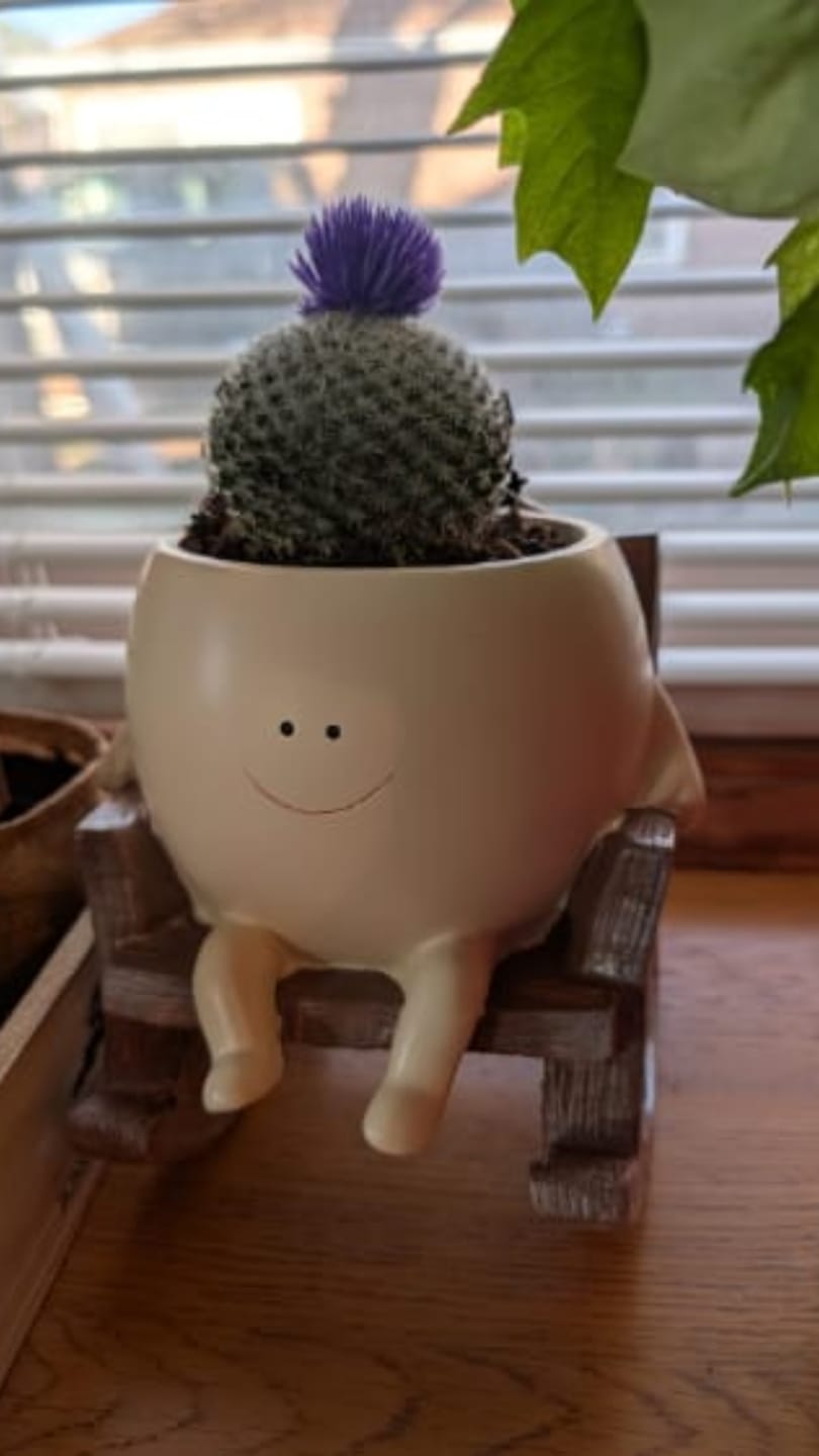 Customer photo review of Pokipot™ Maceta Feliz