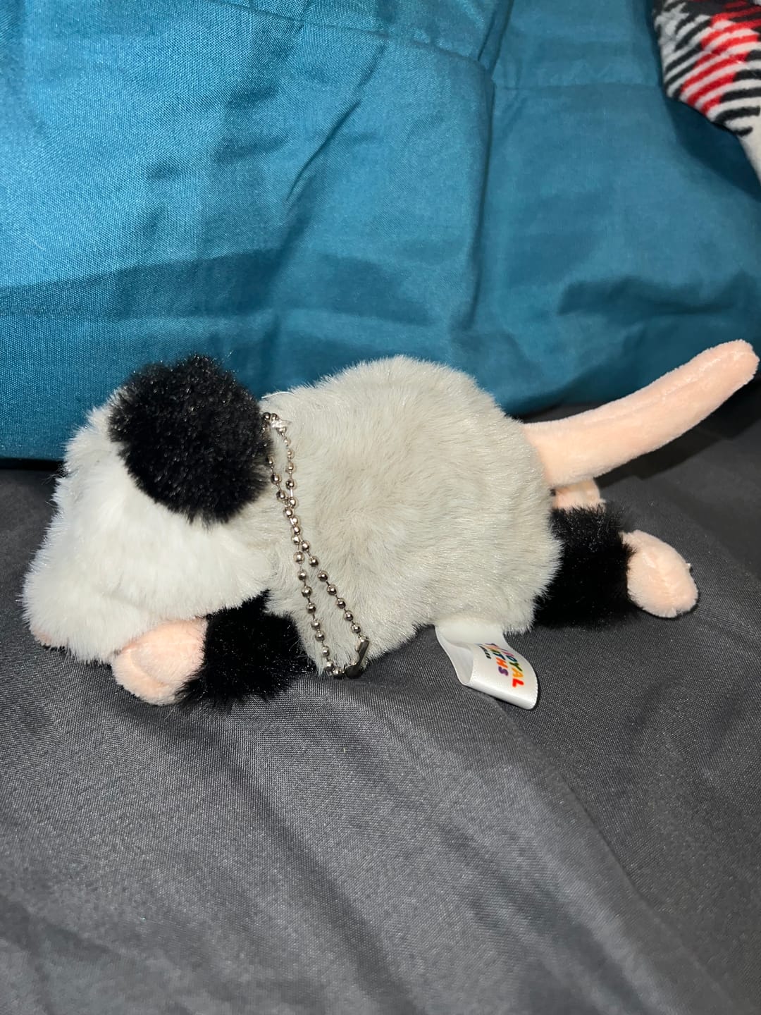 Customer photo review of Forgotten Peter the Opossum
