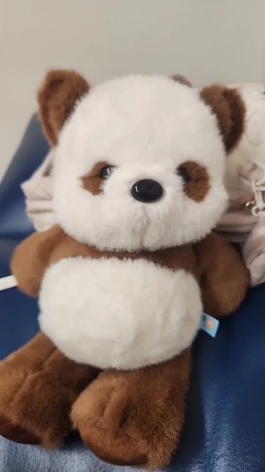 Customer photo review of La peluche panda qui court quand on l’agite | Floomie®