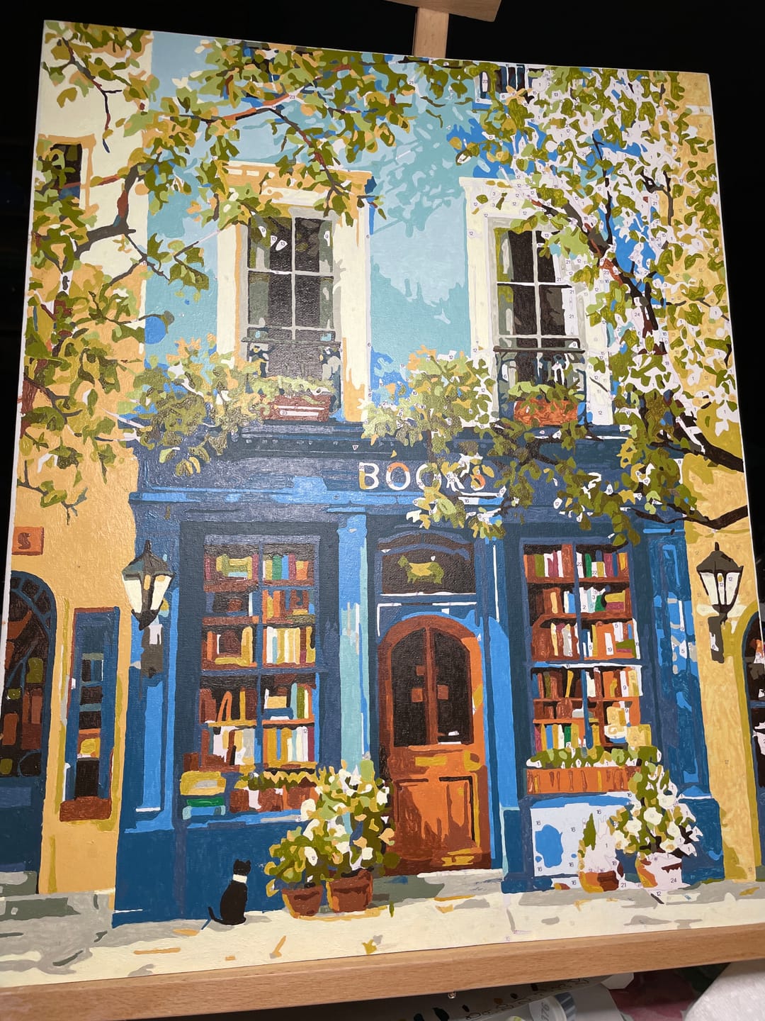 Customer photo review of The Blue Bookshop | Paint by Number