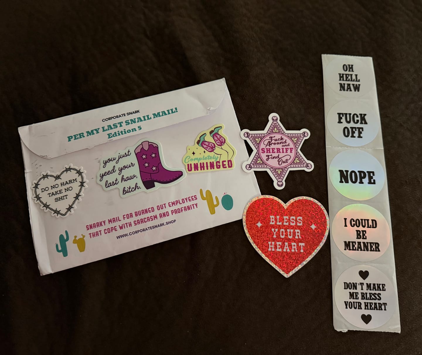 Customer photo review of Per My Last Snail Mail Club