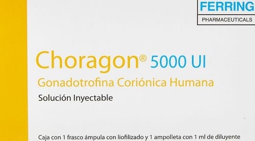 Customer photo review of Choragon | Gonadotropina coriónica humana (HCG) 5,000ui
