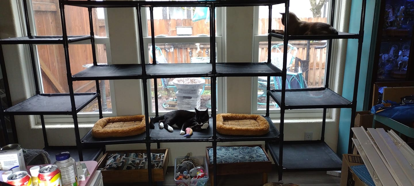 Customer photo review of Durable Cat Tower - Vista