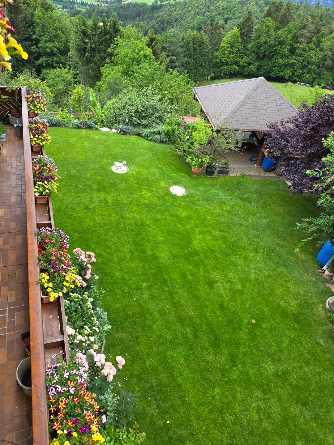 Customer photo review of RASENBLITZ™ - SOMMERDÜNGER