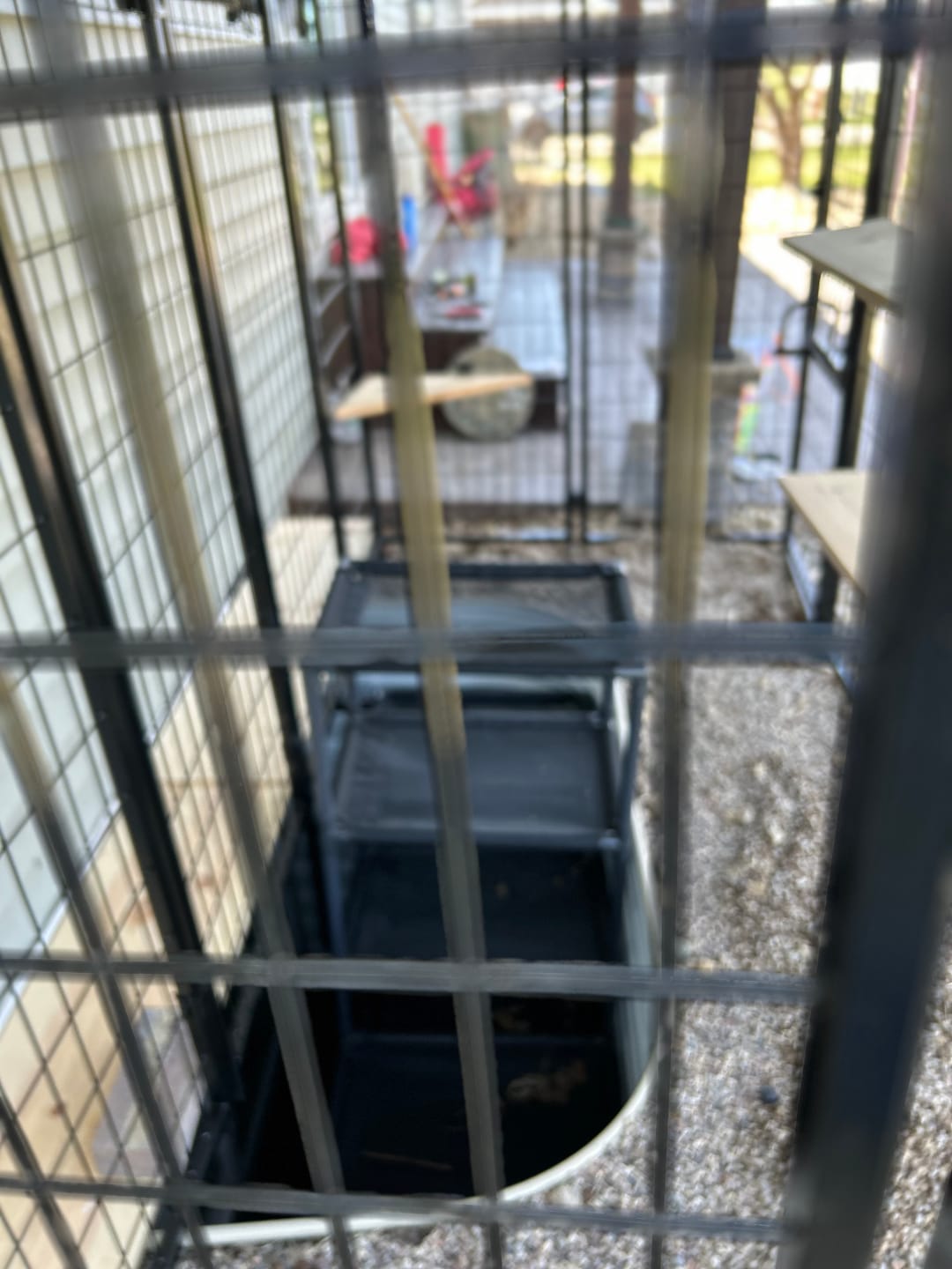 Customer photo review of Shipping protection