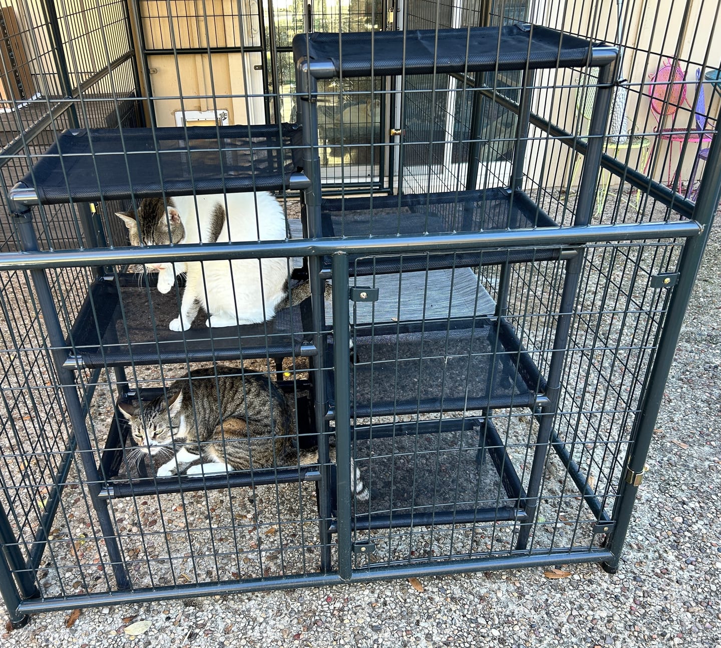 Customer photo review of Durable Cat Tower - Haven
