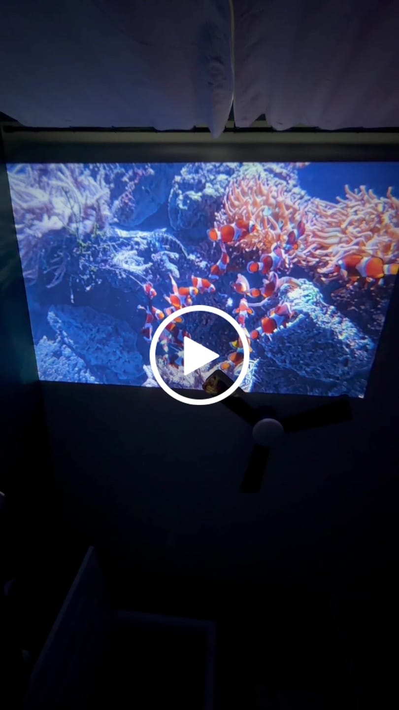 Customer video review of Ozmotic Learning Projector