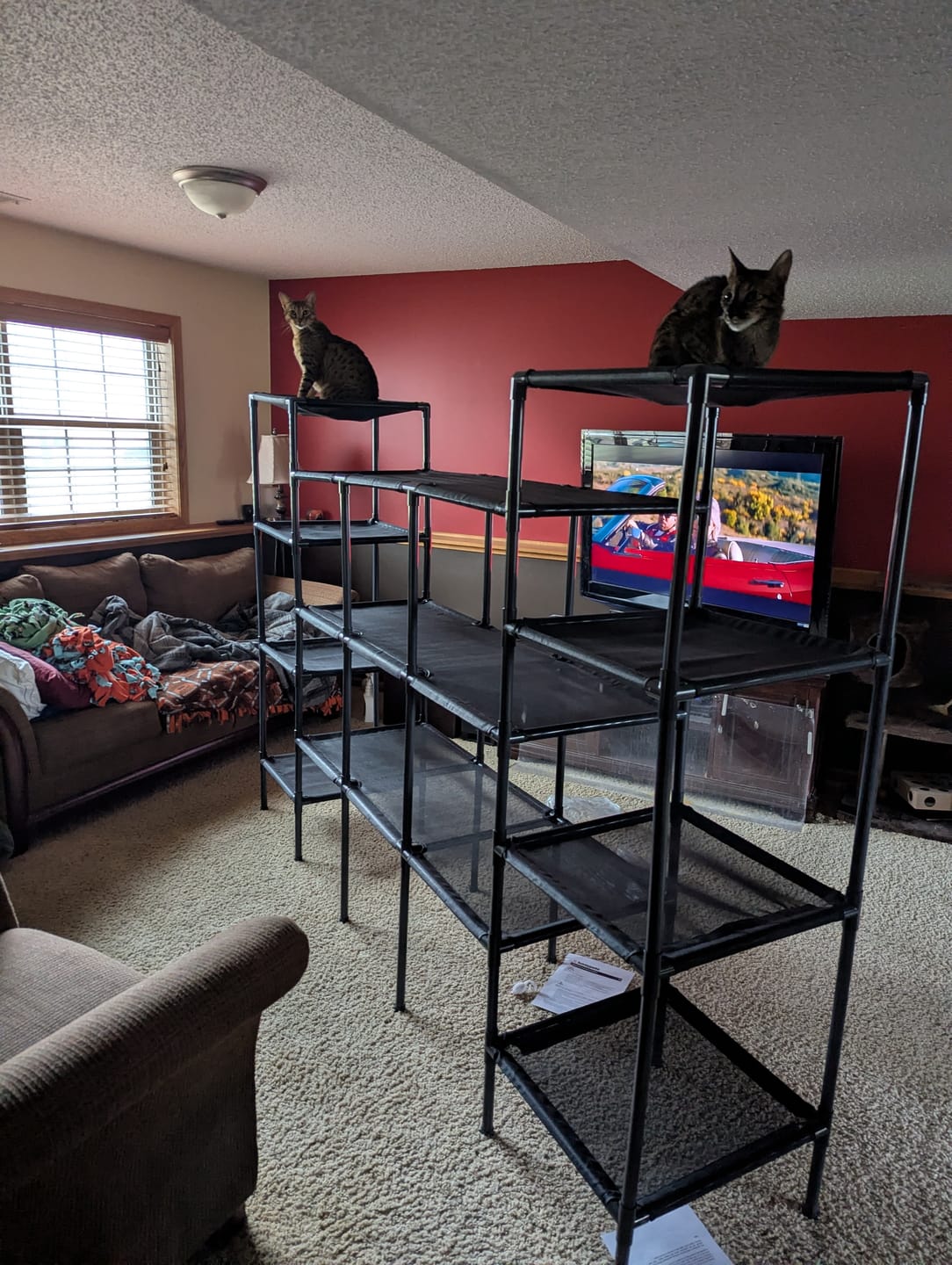Customer photo review of Durable Cat Tower - Vista