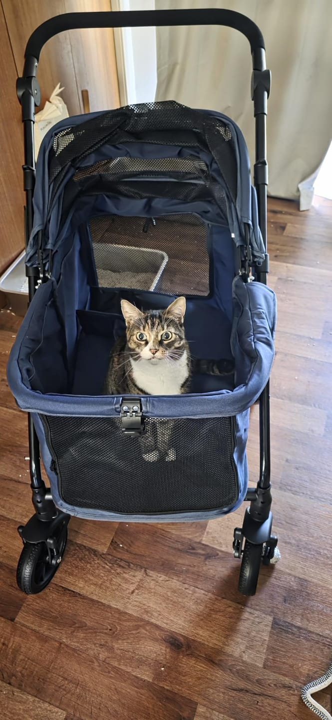 Customer photo review of Fur King Wagon - 30 kg Pet Pram