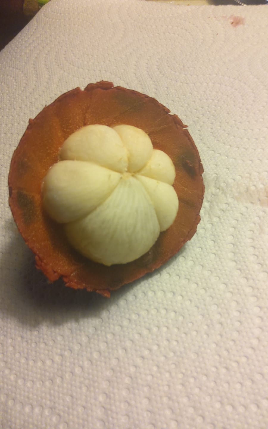 Customer photo review of Mangostan von Juan 1,5kg Box Sonderaktion %