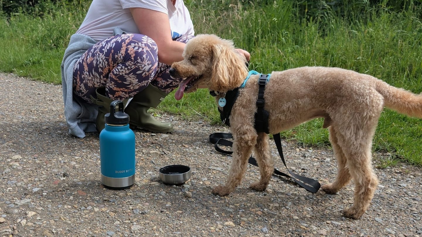 Customer photo review of Buddy Bottle™ Portable Dog Water Bottle | 900ml Leakproof