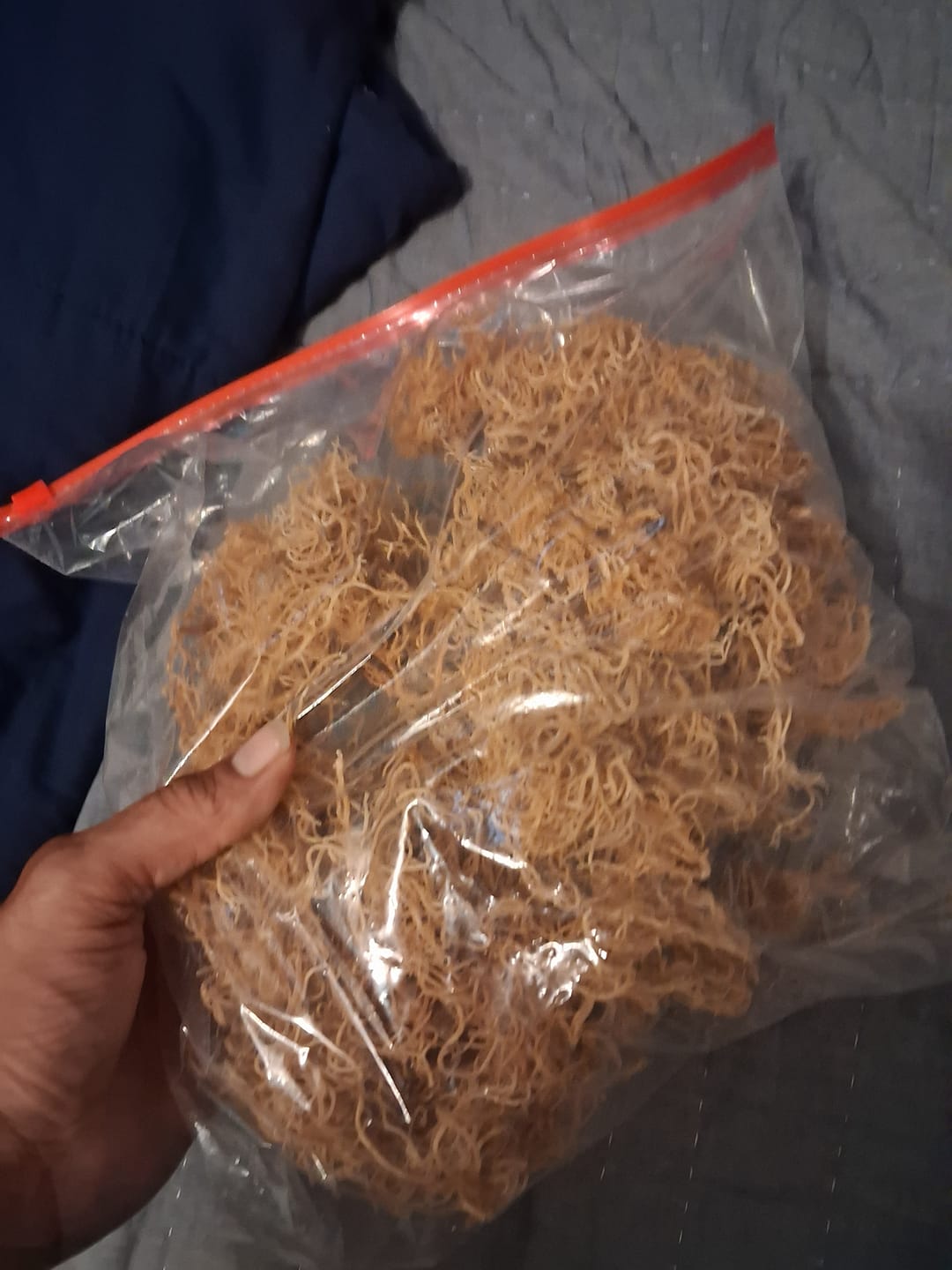 Customer photo review of $16 lb Sea Moss from the pristine waters of St. Lucia- wildcrafted