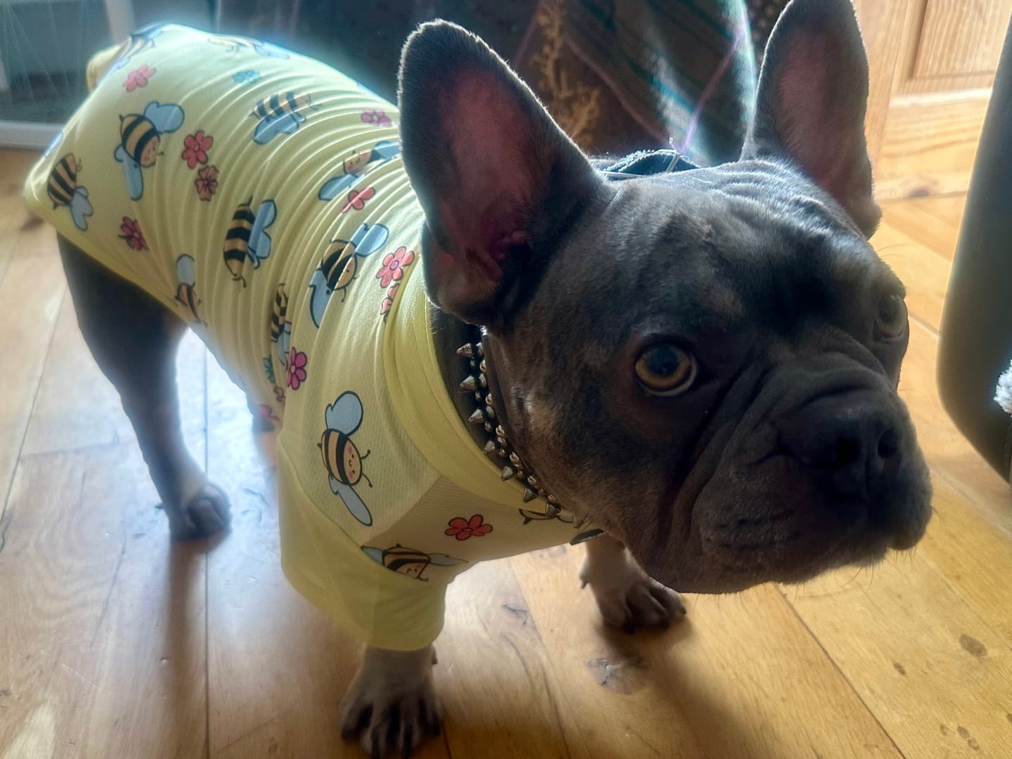 Customer photo review of Sunblock T-Shirt 3 Pack