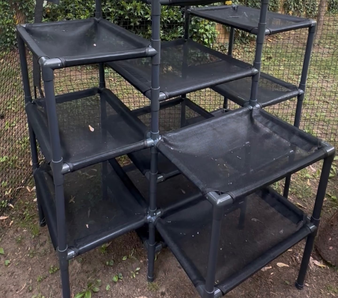 Customer photo review of Durable Cat Tower | Peak
