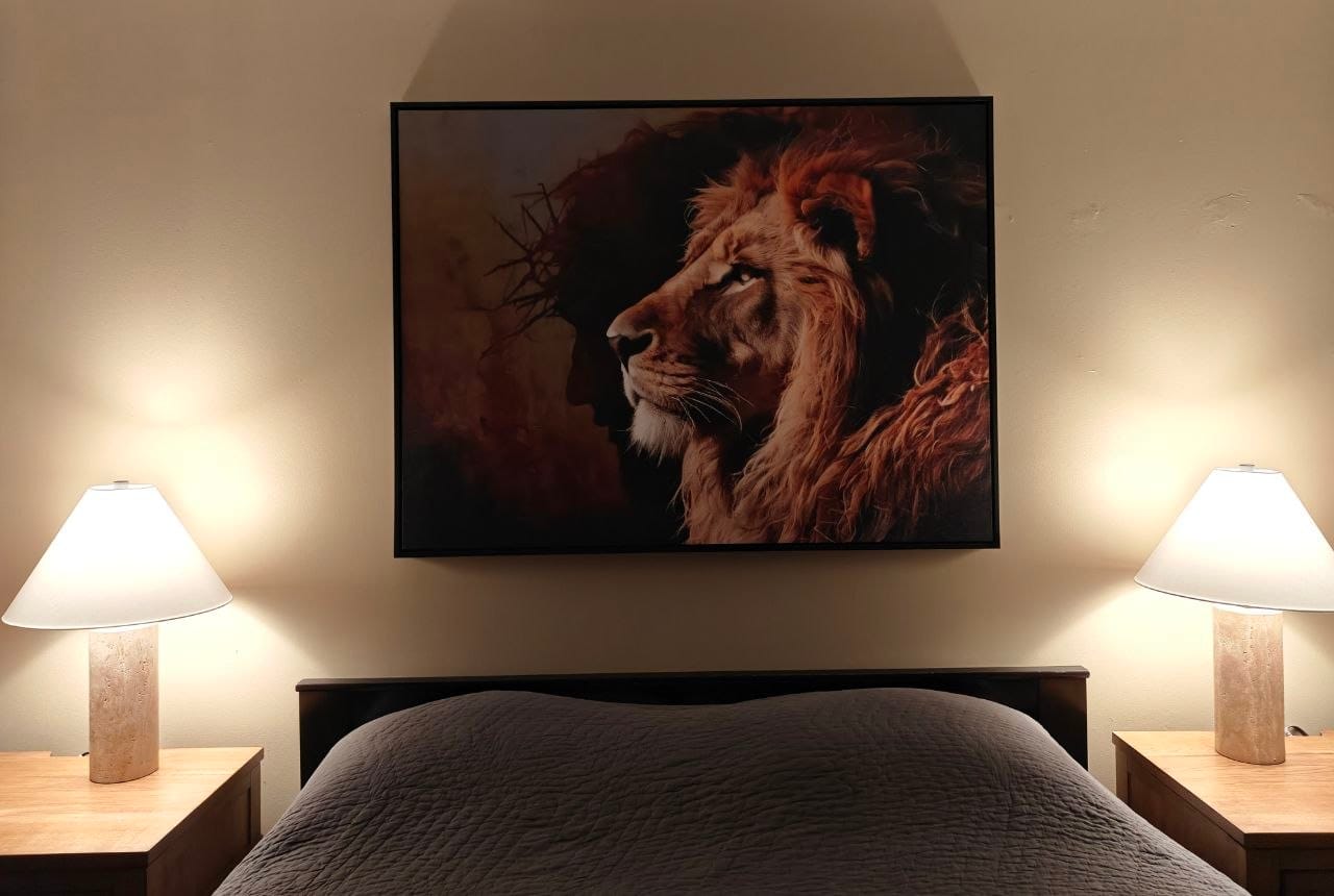 Customer photo review of Jesus Christ The Lion of Judah